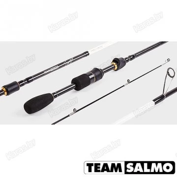 Спиннинг Team Salmo TIOGA 12, 2,25 м, углеволокно, тест: 1.5-12 г , 104 г